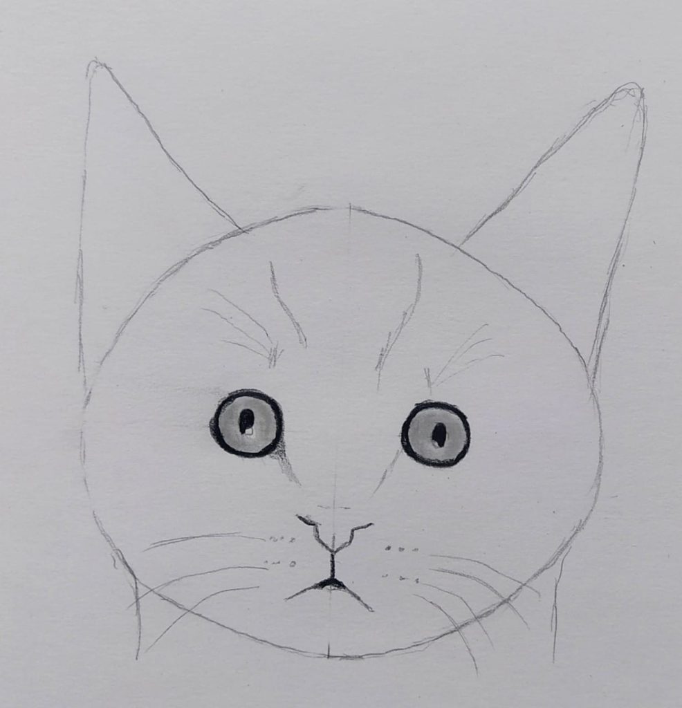 Draw a Cat Face with Simple Tricks, house cat, face, pencil, How to Draw  Pencil Drawing Cat for Kids :), By Kids Art & Craft