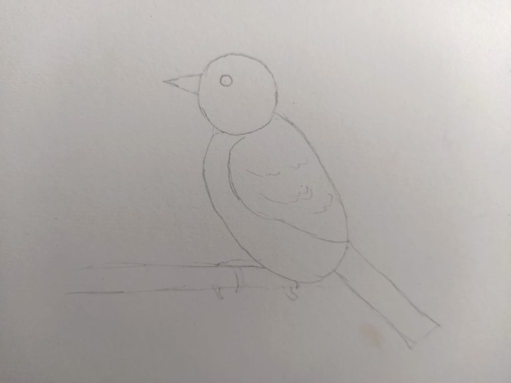 Bird ( Bad Attempt)Sparrow - DrawingNow