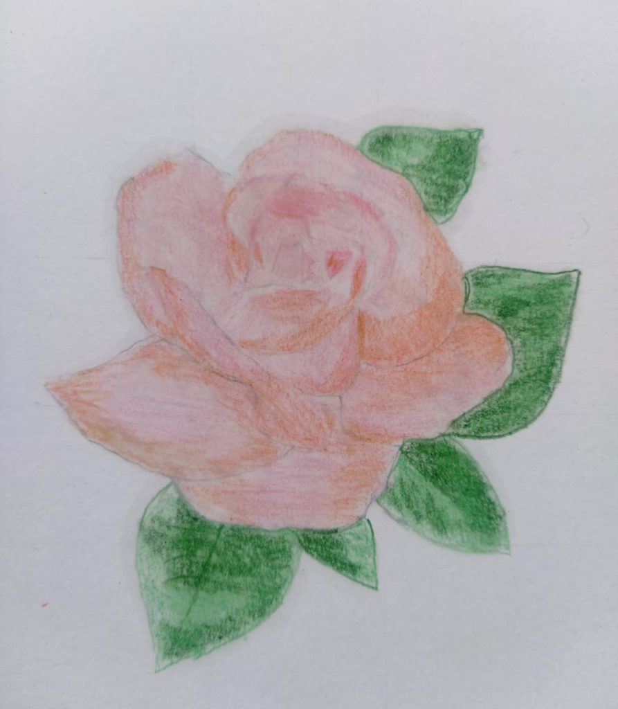 How To Draw A Rose 🌹 Drawing And Coloring A Rainbow Rose 🌈 Drawings For  Kids - YouTube