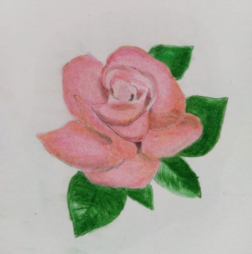 Rose Drawing for kids | Two Rose Drawing tutorial for beginners - YouTube